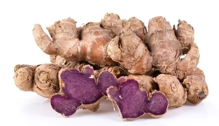 So sánh sự khác biệt giữa gừng đen và gừng thường 2 So sánh sự khác biệt giữa gừng đen và gừng thường-01