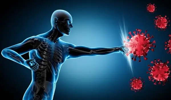 Công dụng của bột ngải đen mà có thể bạn chưa biết 3 Công dụng của bột ngải đen mà ít ai biết-01
