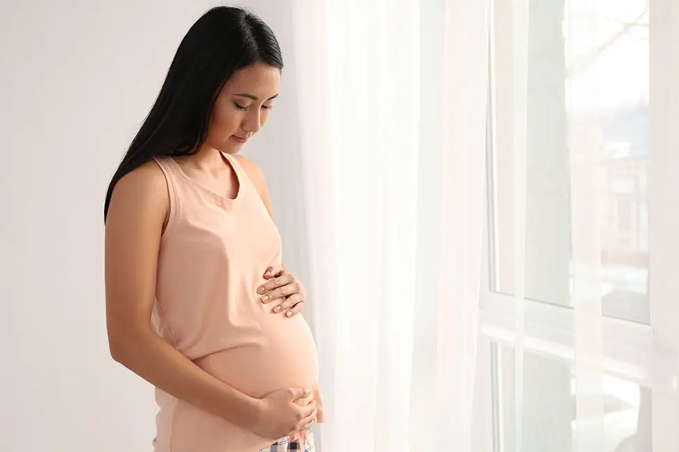 Những ai không nên dùng ngải đen? 3 Phụ nữ mang thai không nên sử dụng ngải đen