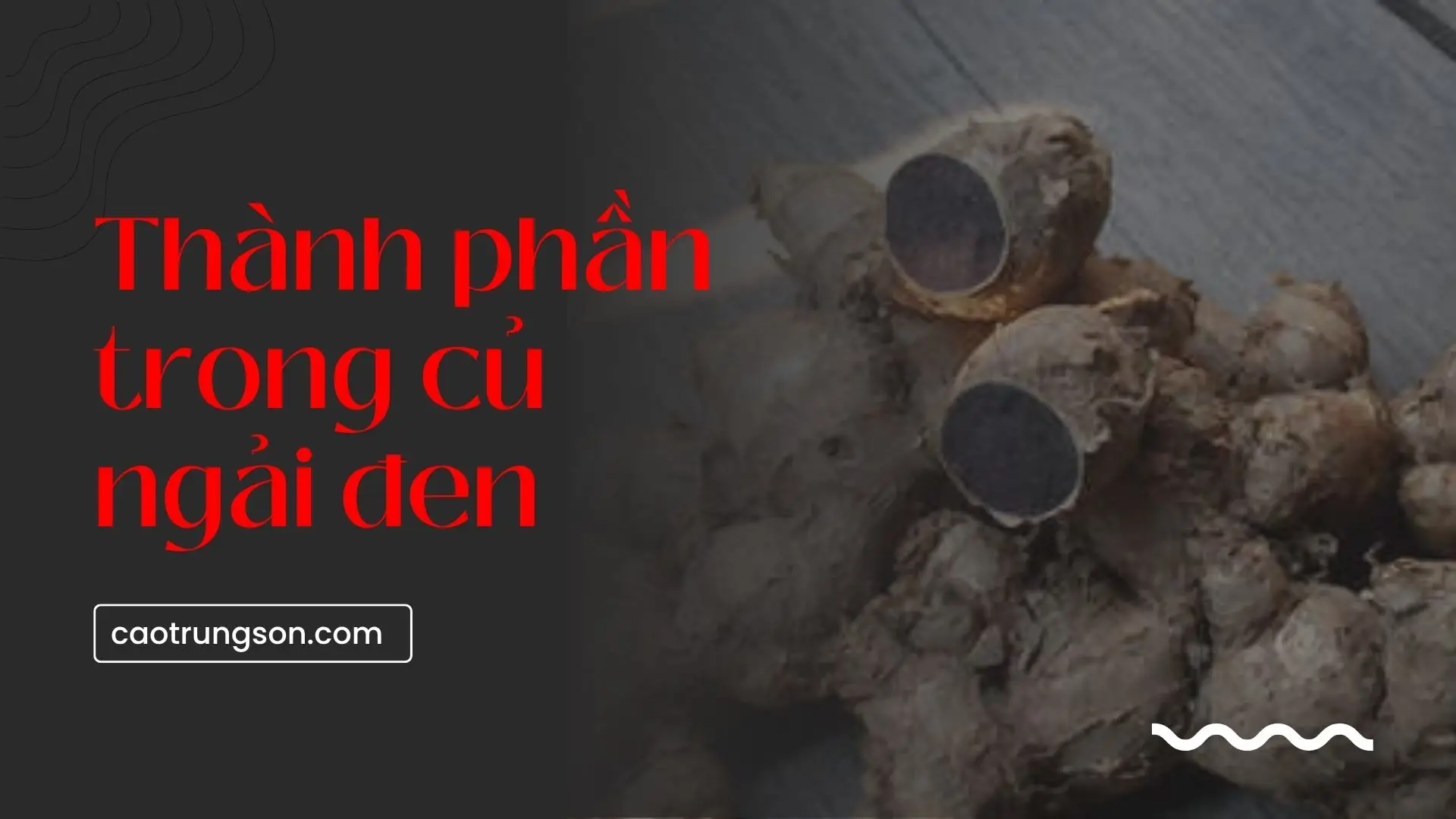 Thành phần trong củ ngải đen có gì mà giúp chữa bệnh hiệu quả đến vậy?