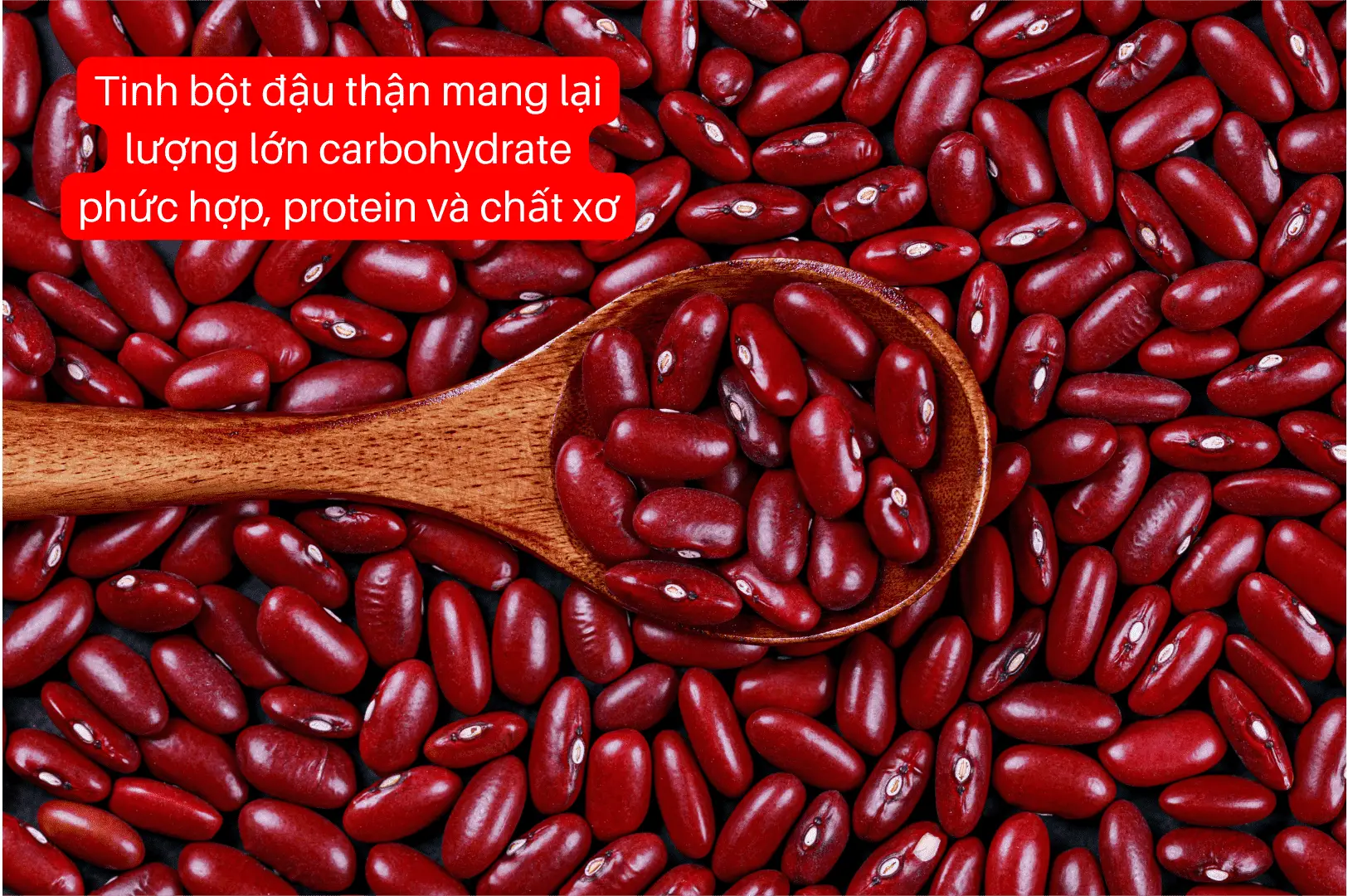 Thành phần trong sữa hạt canxi Cao Trung Sơn-08