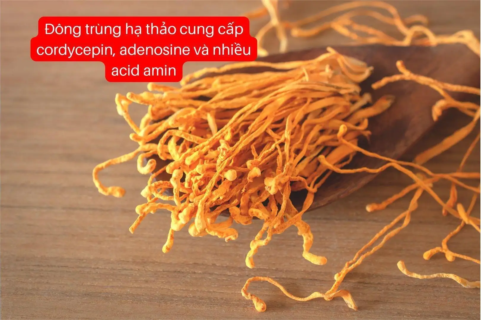 Thành phần trong sữa hạt canxi Cao Trung Sơn-02