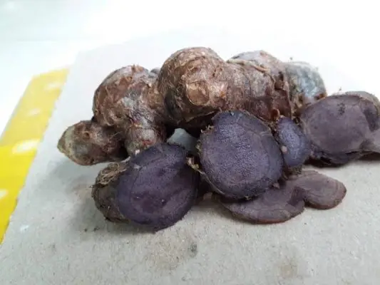 Cách sơ chế củ ngải đen tươi trước khi dùng 2 Cách lựa chọn củ ngải đen chất lượng